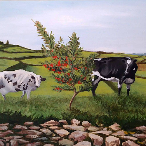 Kirsty Boar - Cows