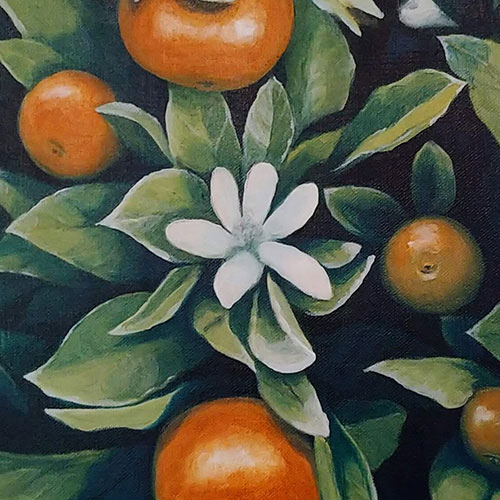 Kirsty Boar - Oranges