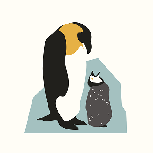 Kirsty Boar - Penguins