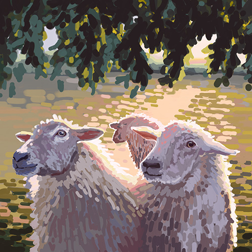 Kirsty Boar - Sheep